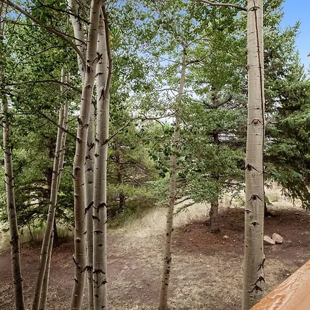 Tennis Townhome 1323 Keystone